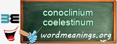 WordMeaning blackboard for conoclinium coelestinum